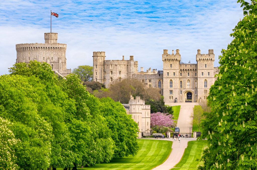 immigration solicitor in Windsor